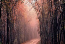 关于杜兰特迎来七赛季出色发挥，曼联观众热烈欢呼！的信息